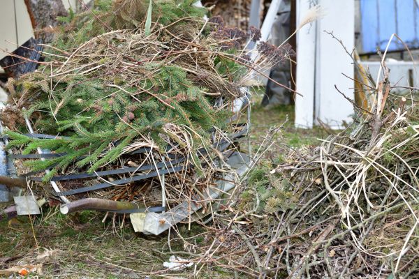Yard Debris Removal