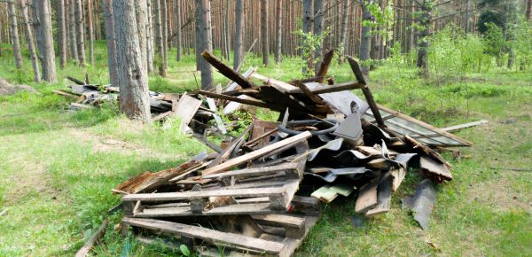 Debris Removal Service in Westminster